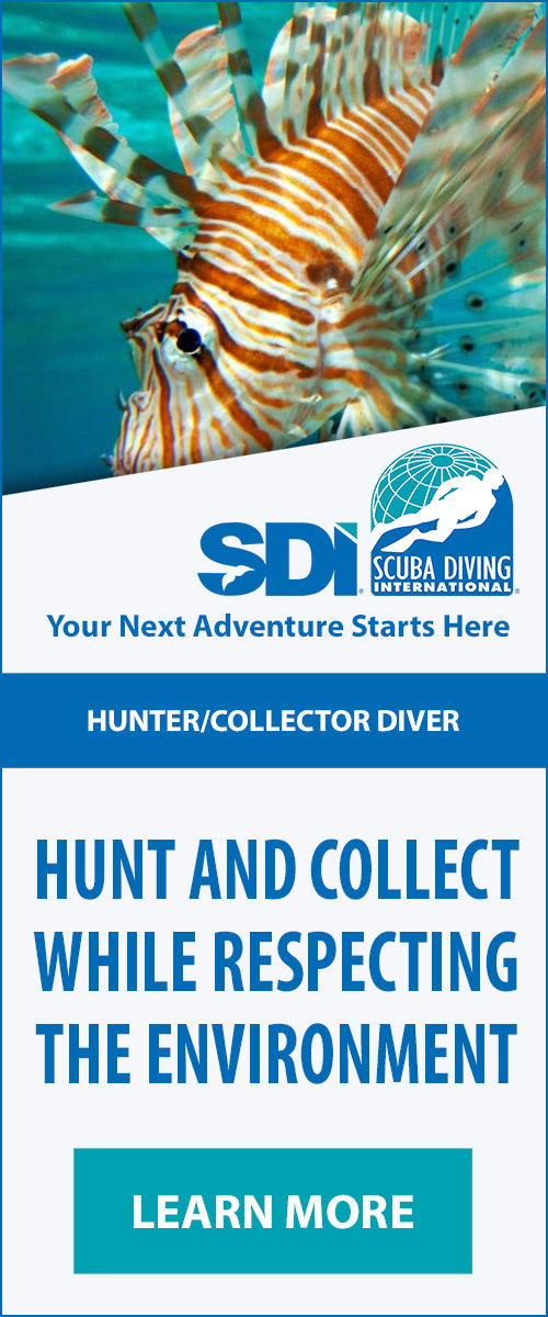 Hunter/Collector Diver
