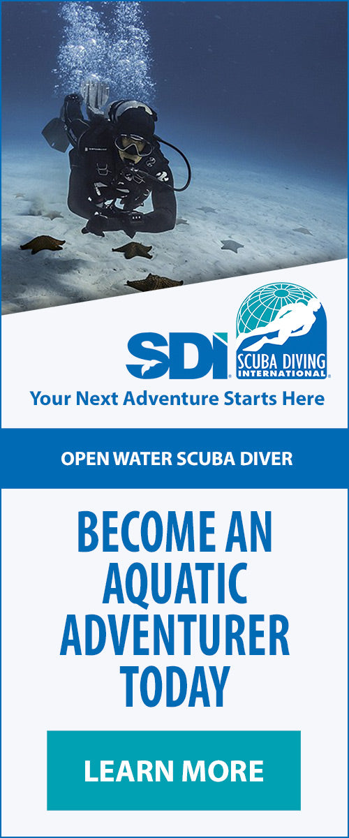 SDI - Open Water Diver (eLearning Included)