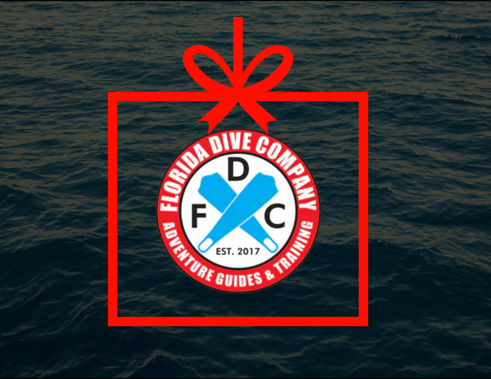5 Reasons to Gift A Scuba Diving Adventure This Holiday Season