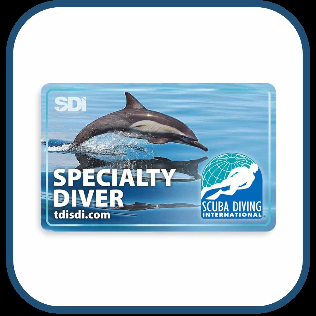 Specialty Diver 