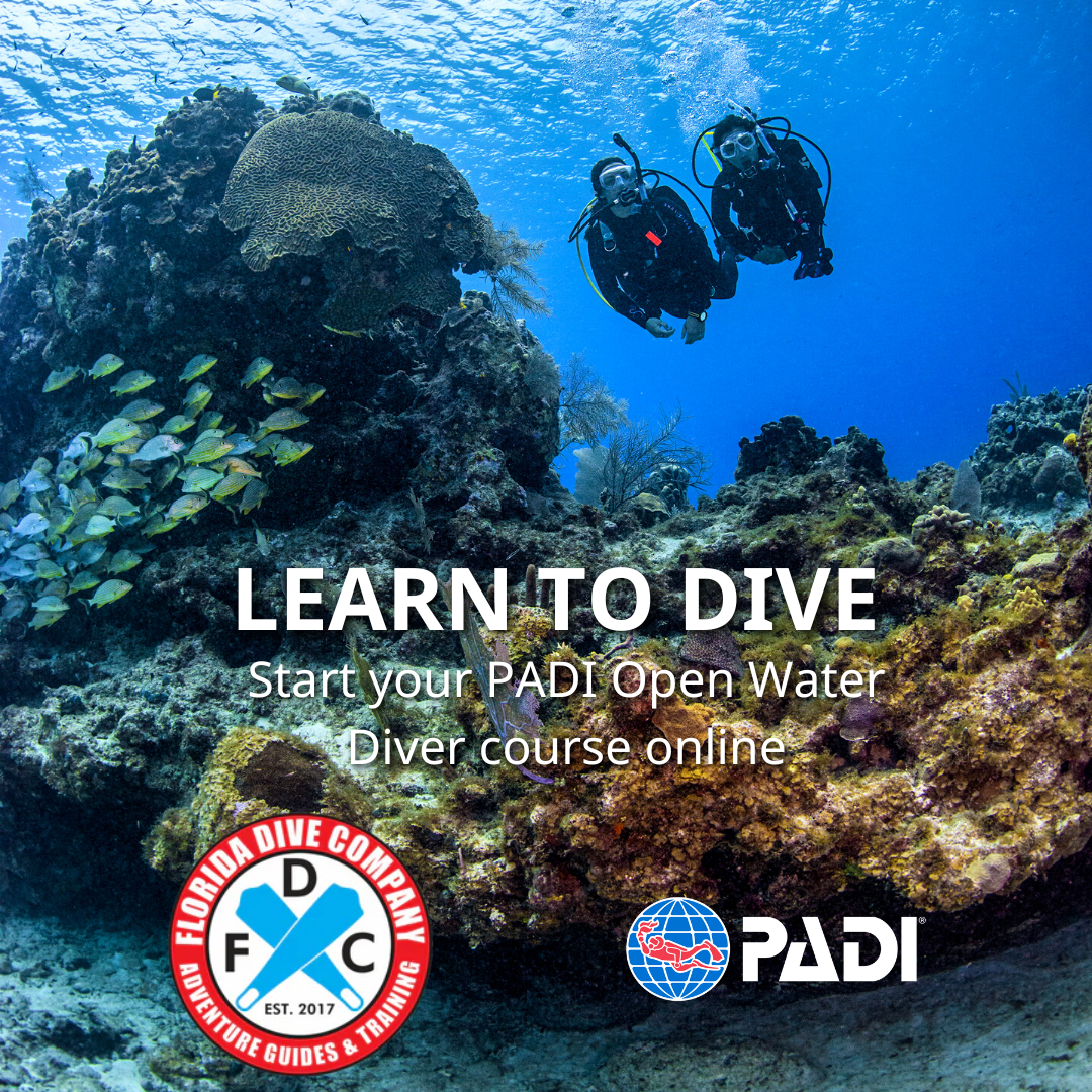 PADI Open Water Scuba Diver (eLearning Not Included)