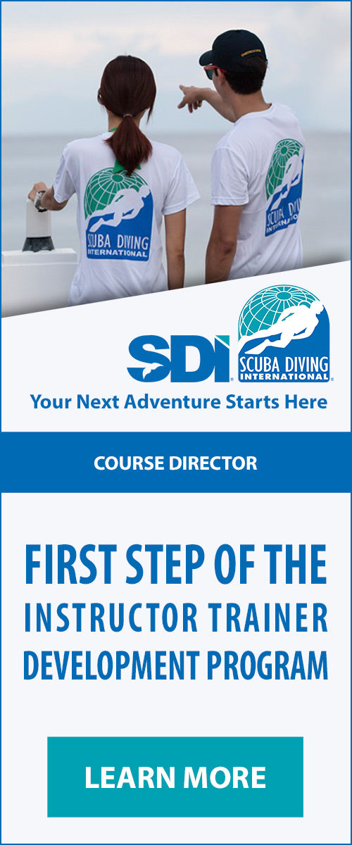 Course Director