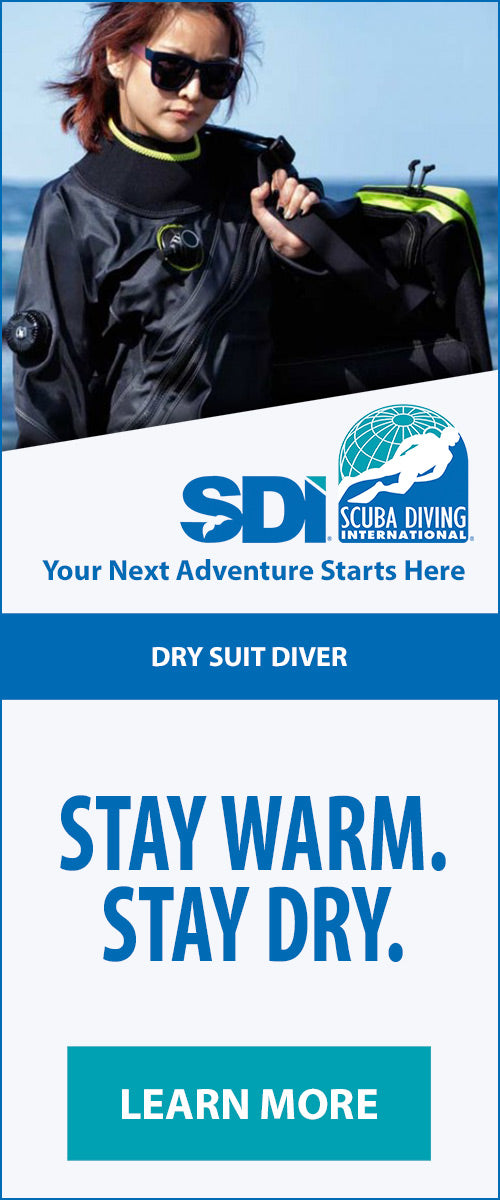 Dry Suit Diver