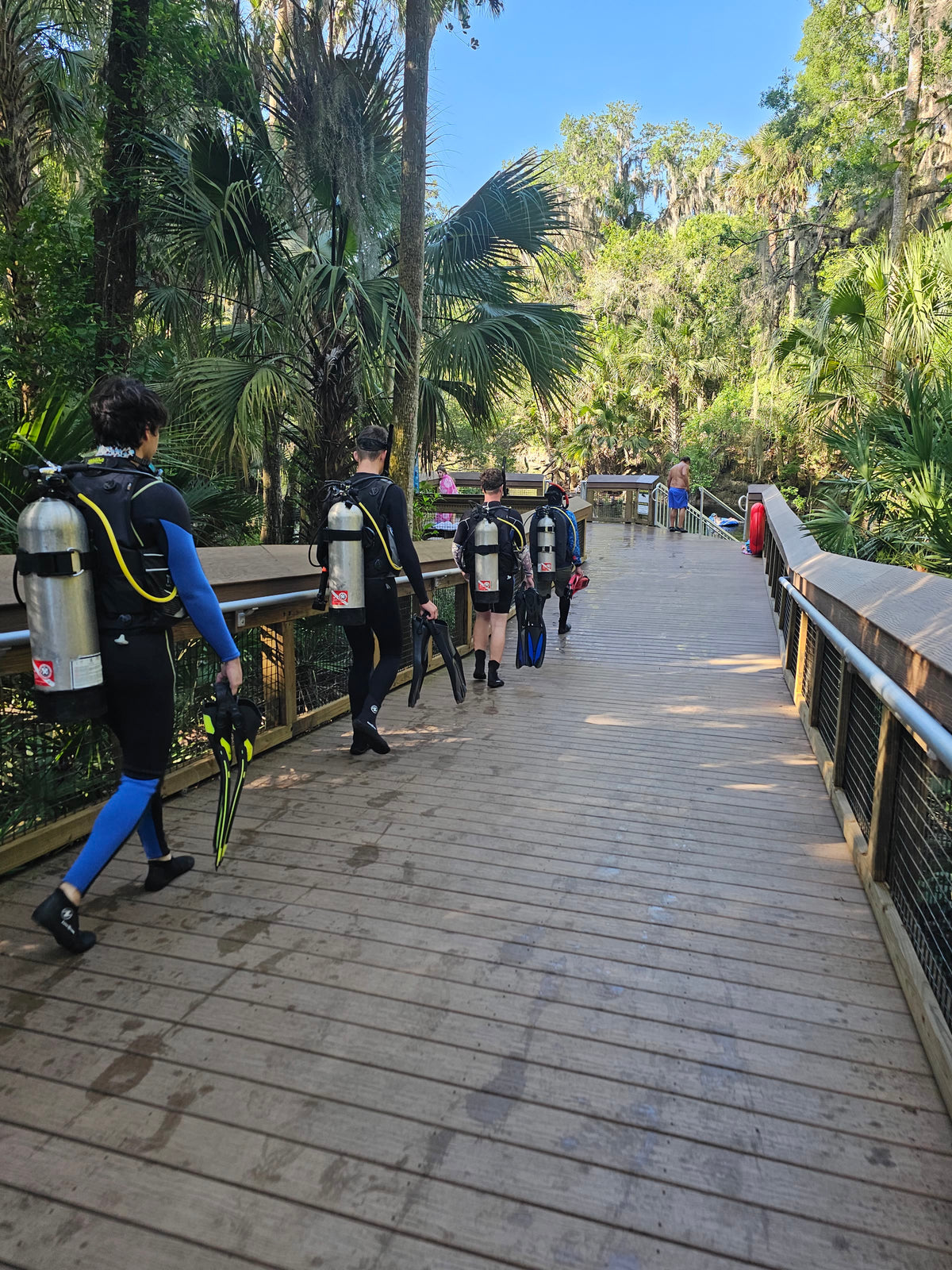 Scuba divers carrying fins along the Blue Spring State Park boardwalk to the spring