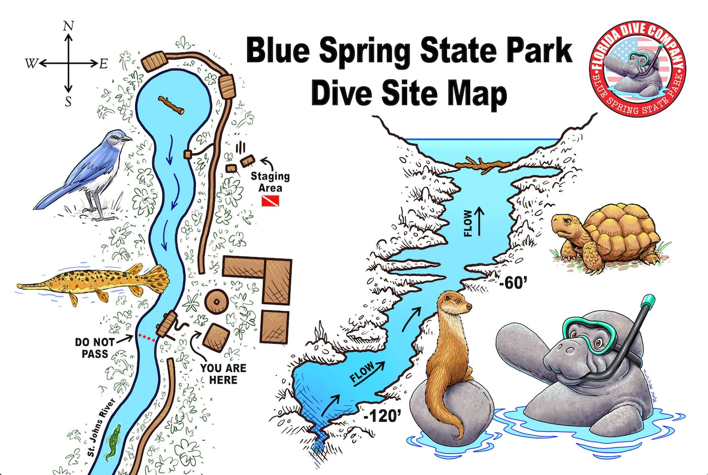 Illustrated Blue Spring State Park dive site map showing the spring run, swim area, Florida Dive Company staging area and the spring boil