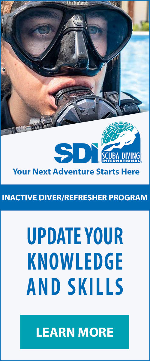 Inactive Diver/Refresher Diver