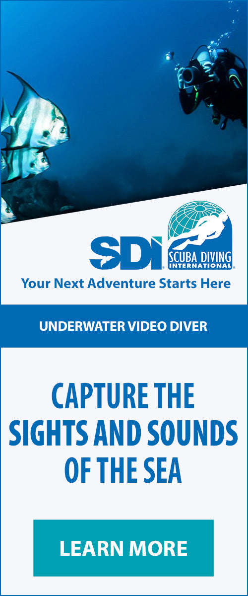 Underwater Video Diver